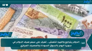 الدولار يتراجع والليرة تنتعش.. تعرف على سعر صرف الدولار في سوريا اليوم بالسوق السوداء والمصرف المركزي